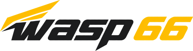 wasp 66